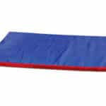 Cushion Pad